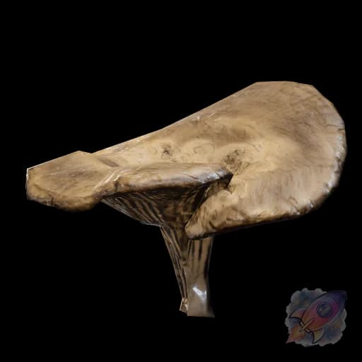 Mushroom
