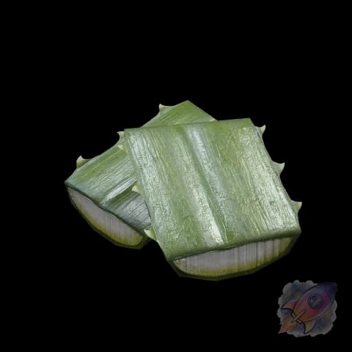 Agave