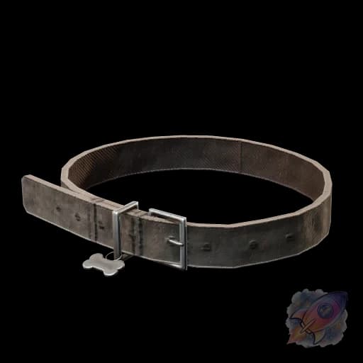 Dog Collar