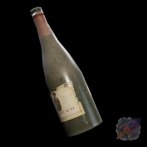 Empty Wine Bottle